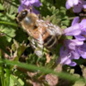 Meet your Posher, Lynn